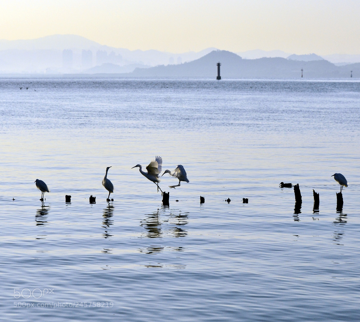 Nikon D800E sample photo. Untitled photography