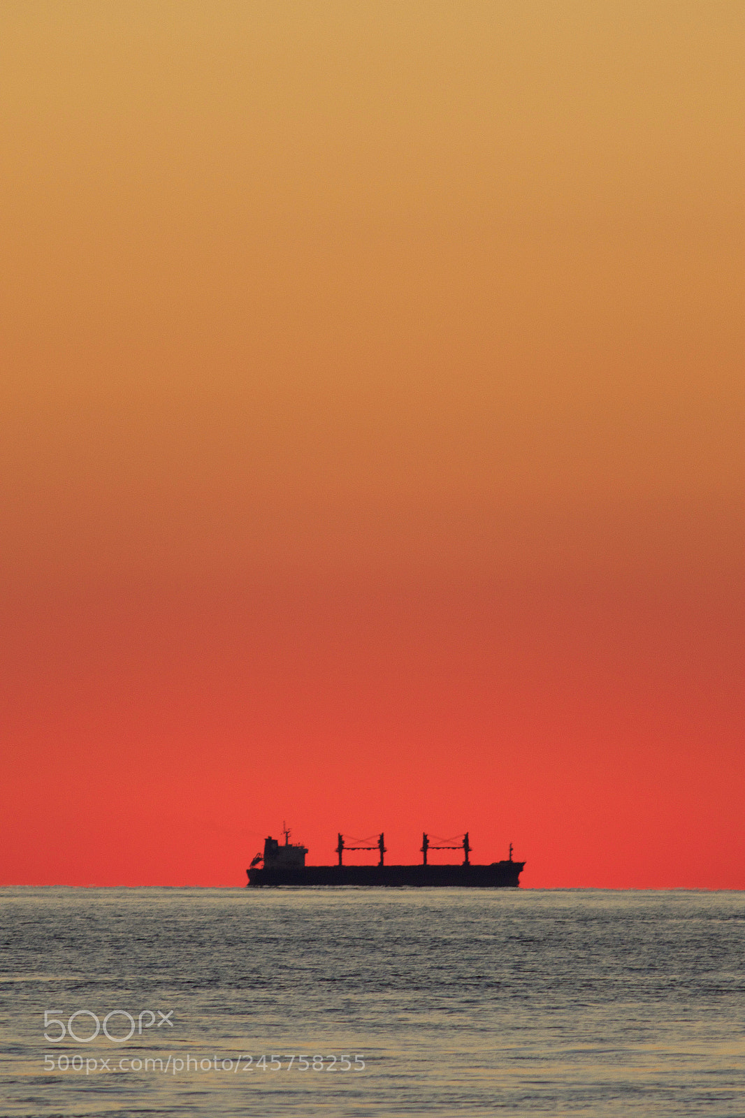 Canon EOS 7D Mark II sample photo. Sailor's delight photography