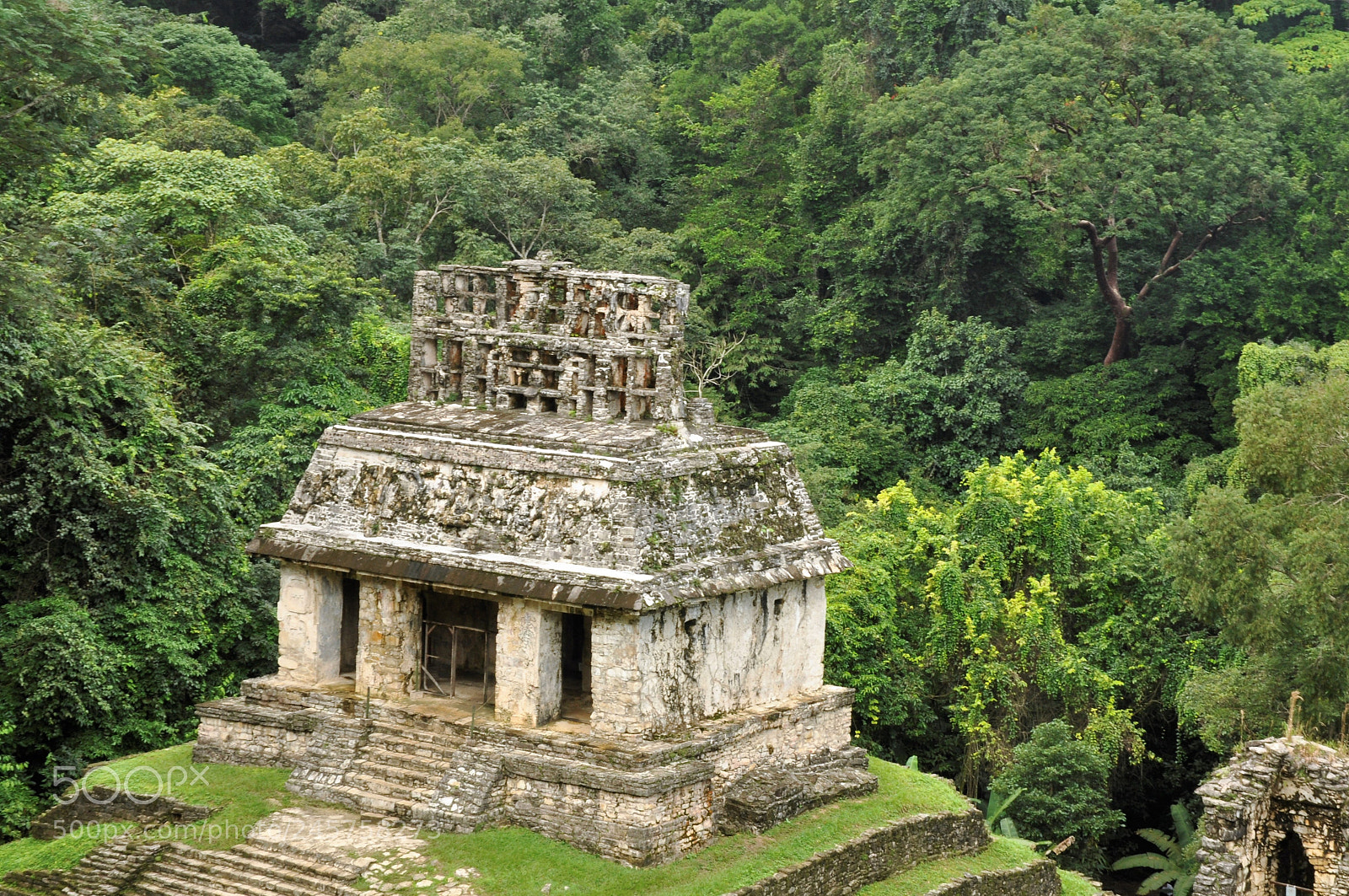 Nikon D90 sample photo. Palenque photography