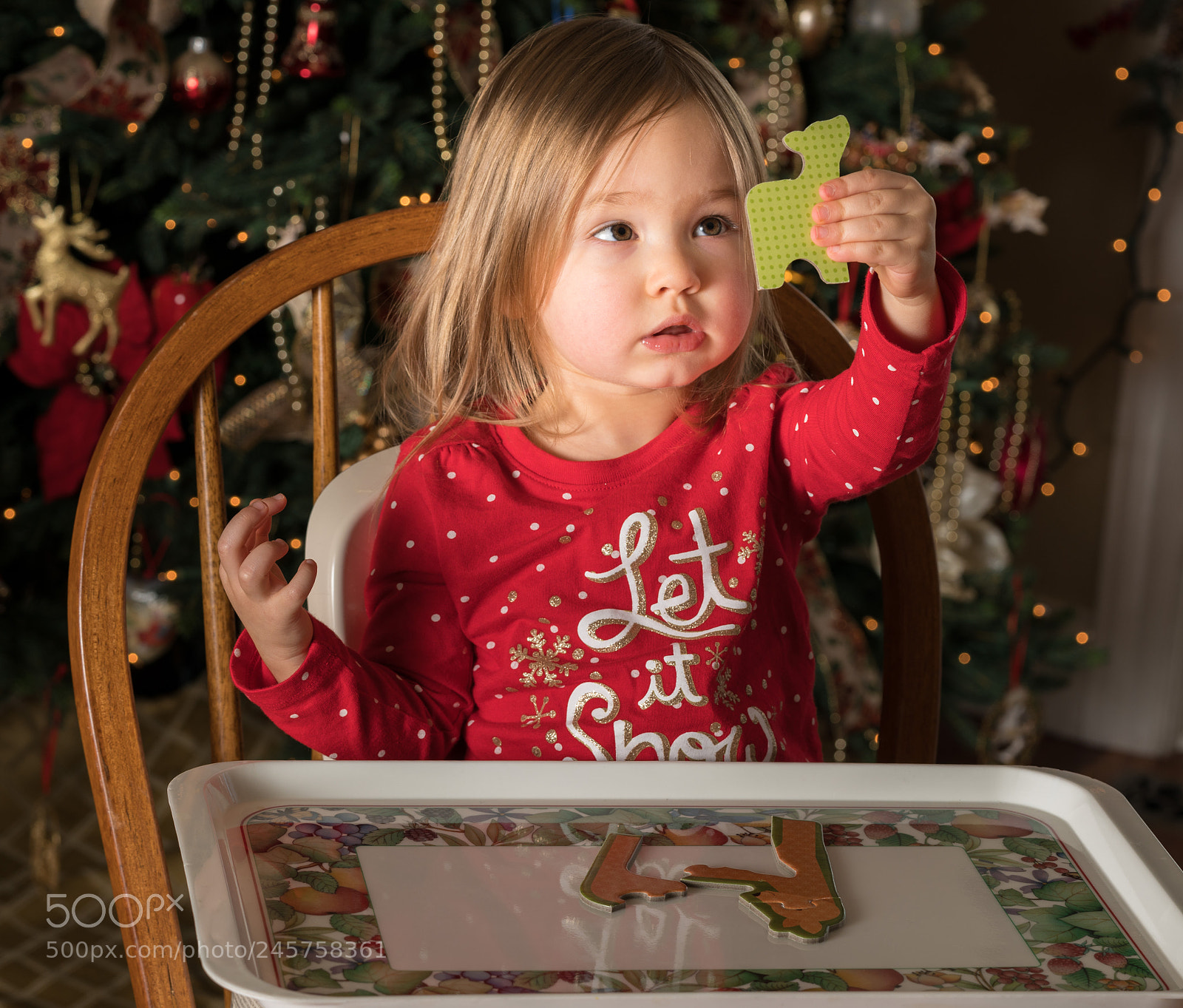Sony a7R II sample photo. Young girl toddler making photography