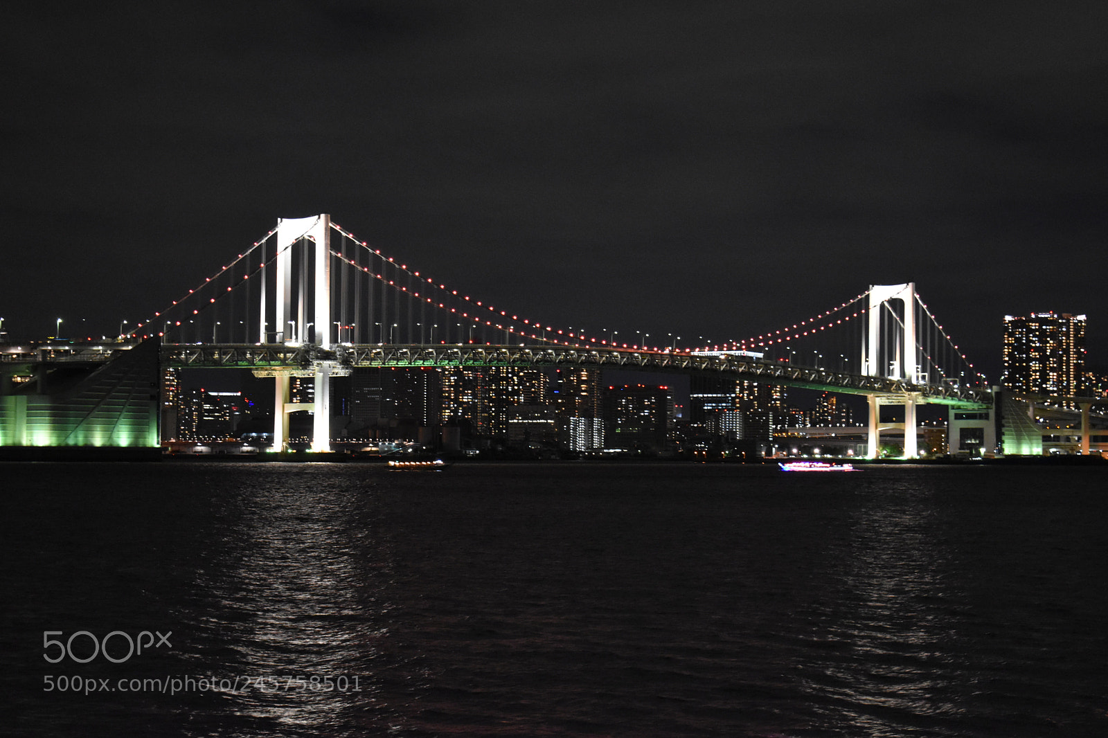 Nikon D5600 sample photo. Tokyo rainbow bridge photography