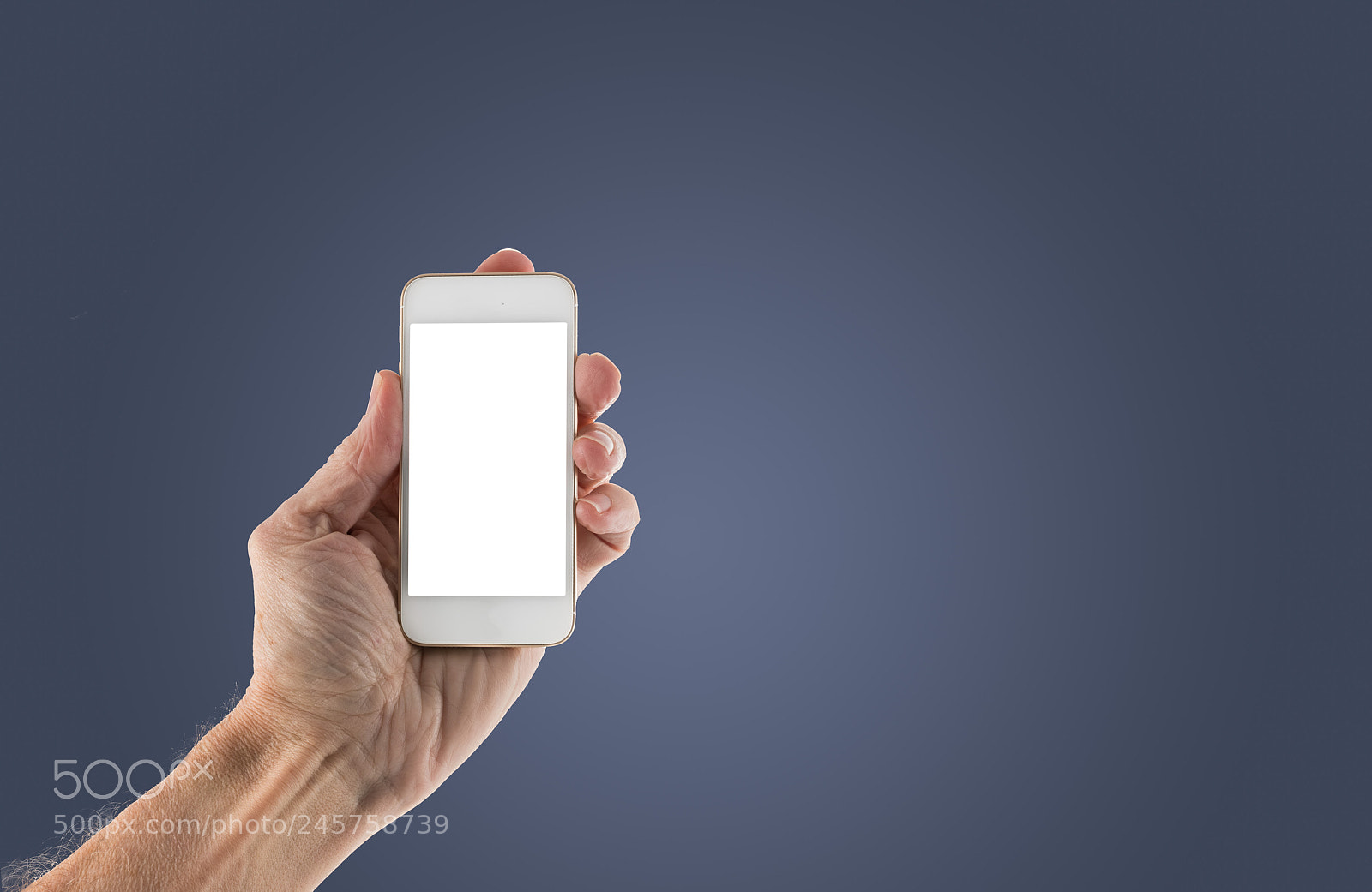 Sony a7R II sample photo. Male left hand holding photography