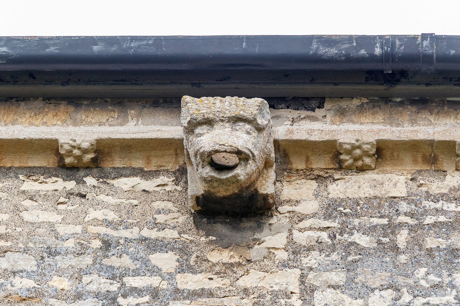 Canon EOS 1200D (EOS Rebel T5 / EOS Kiss X70 / EOS Hi) sample photo. Img guttering gargoyle st photography