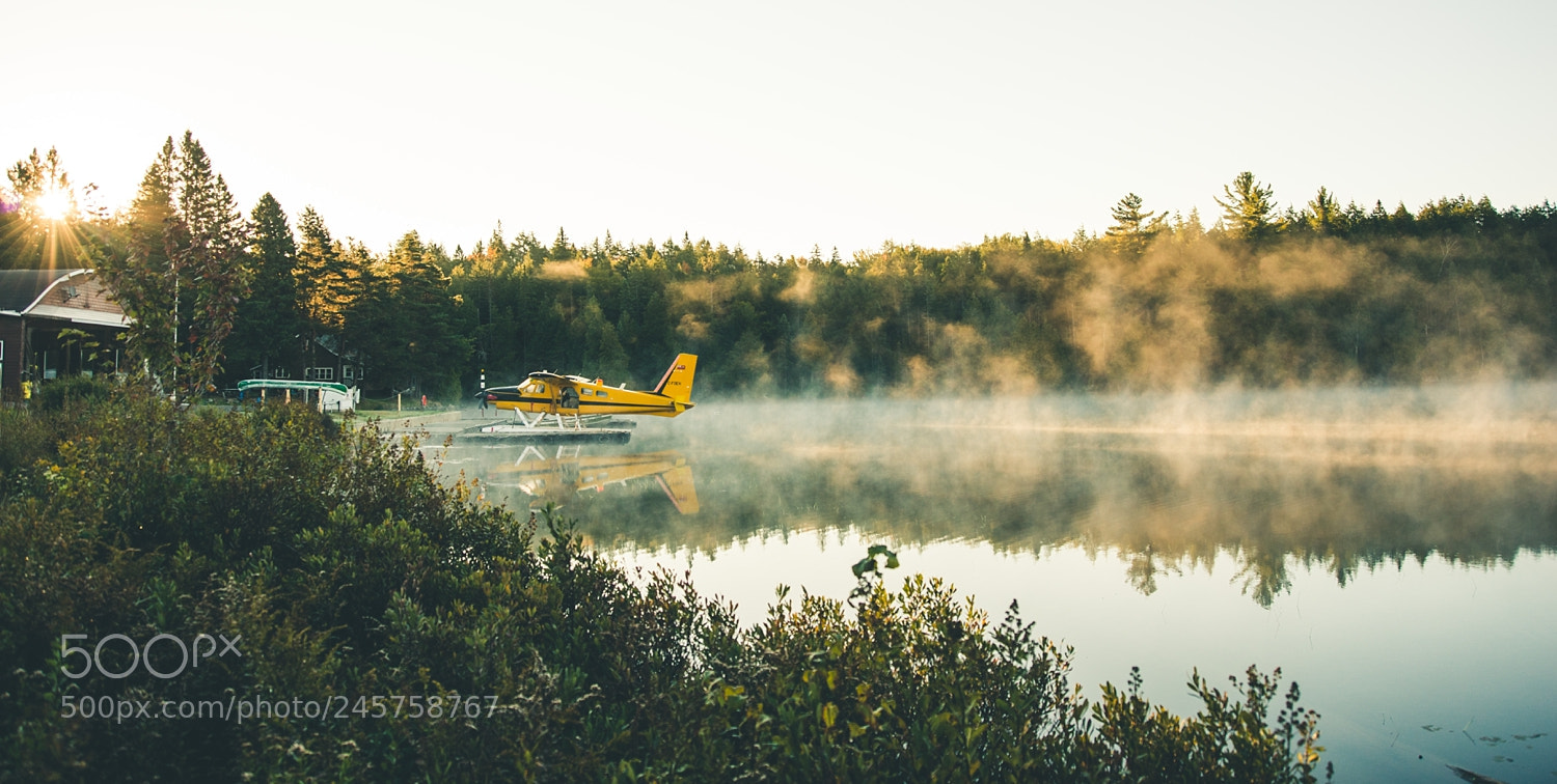 Nikon D800 sample photo. Foggy morning in algonquin photography