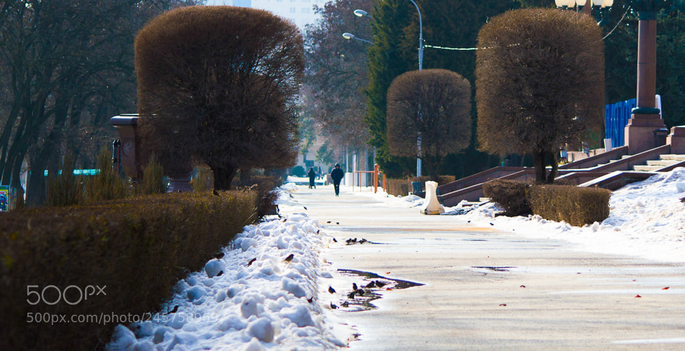 Nikon D3200 sample photo. НАБЕРЕЖНАЯ photography