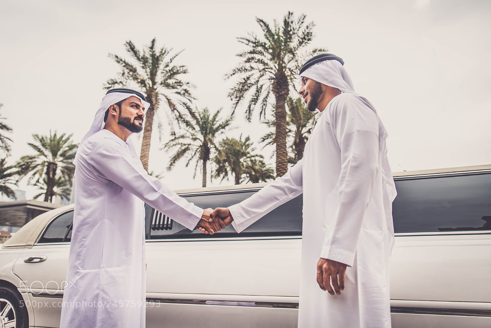 Nikon D610 sample photo. Arabian men in the photography