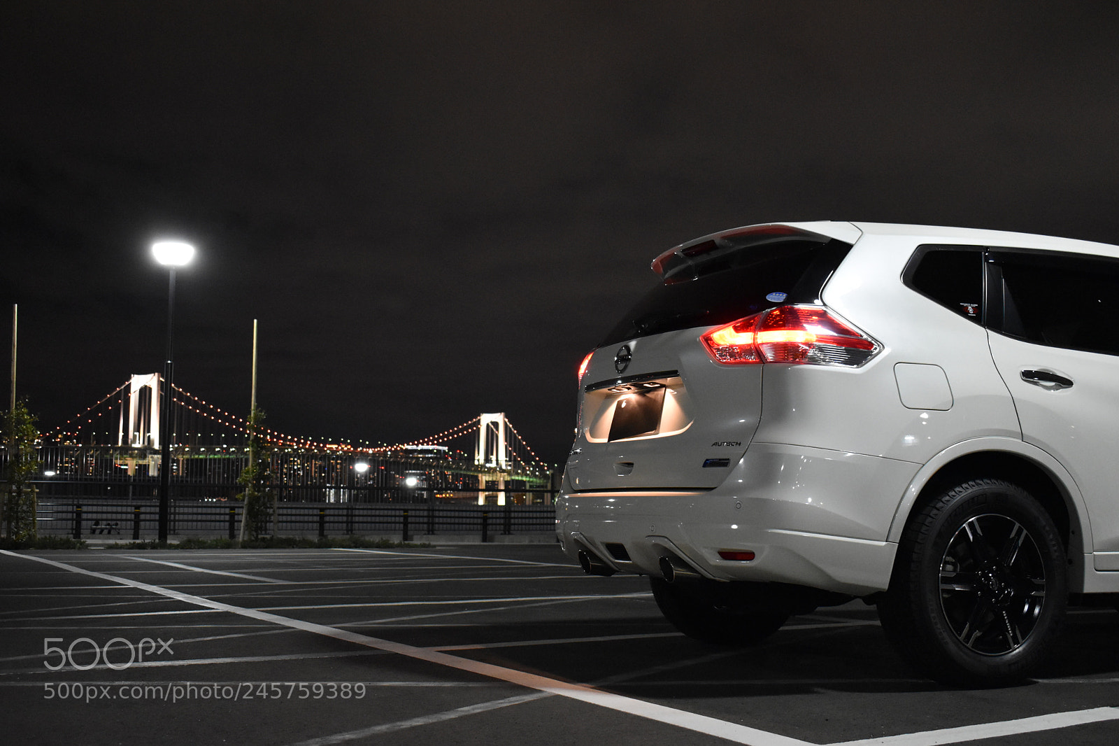 Nikon D5600 sample photo. Tail light photography