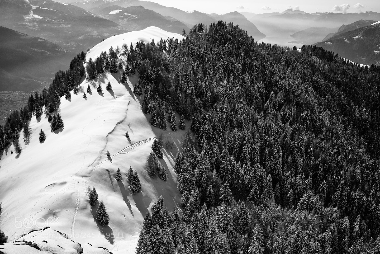 Leica M (Typ 240) sample photo. Val camonica photography