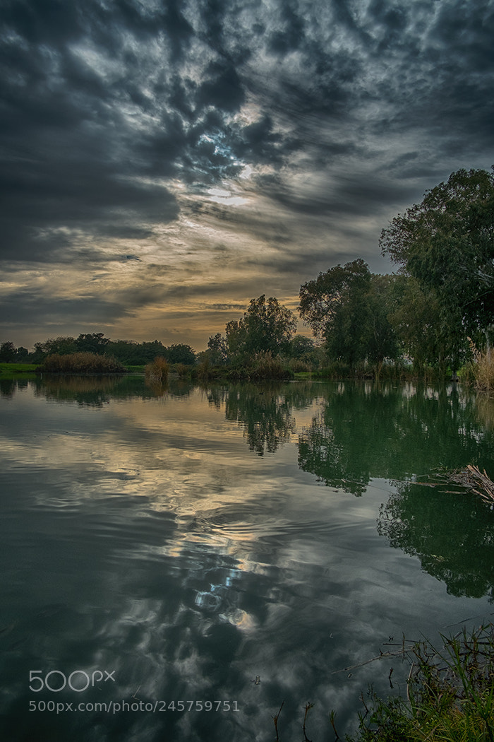 Fujifilm X-Pro1 sample photo. February in israel photography