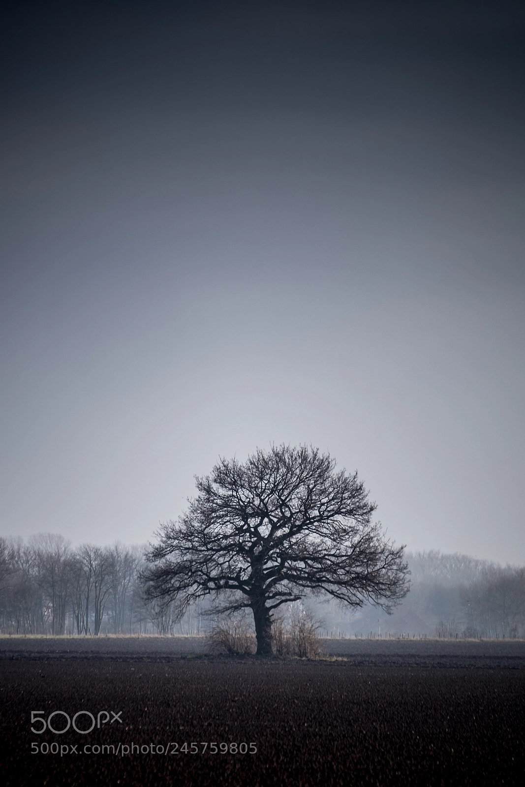Fujifilm X-T1 sample photo. Lonely. photography