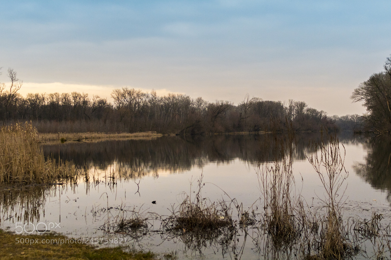 Canon EOS 750D (EOS Rebel T6i / EOS Kiss X8i) sample photo. Tőserdő photography