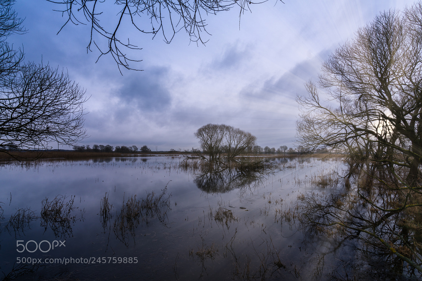 Sony a7R II sample photo. Oder nationalpark brandenburg photography