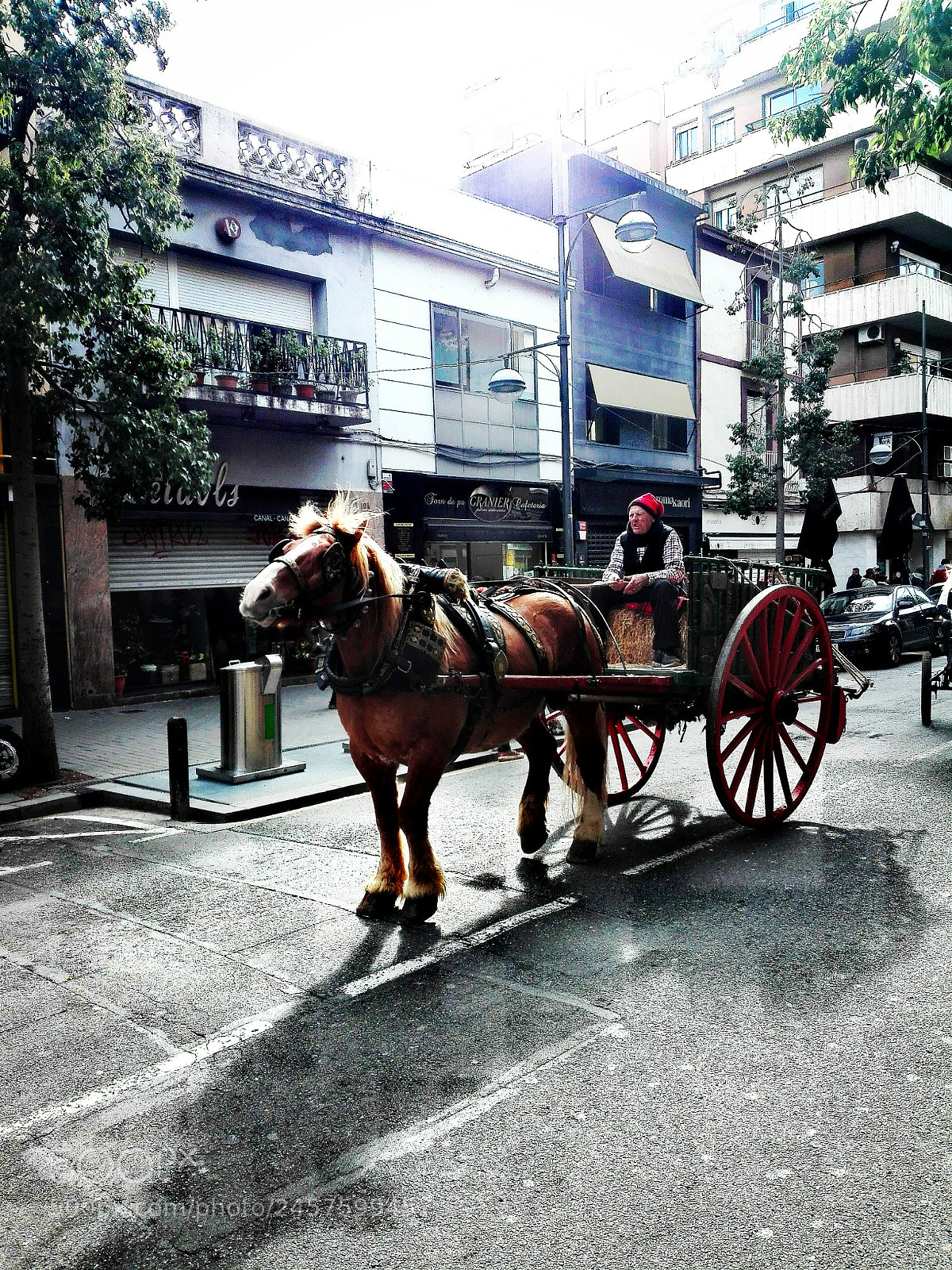 HUAWEI P8 Lite sample photo. Passada de sant antoni 2 photography