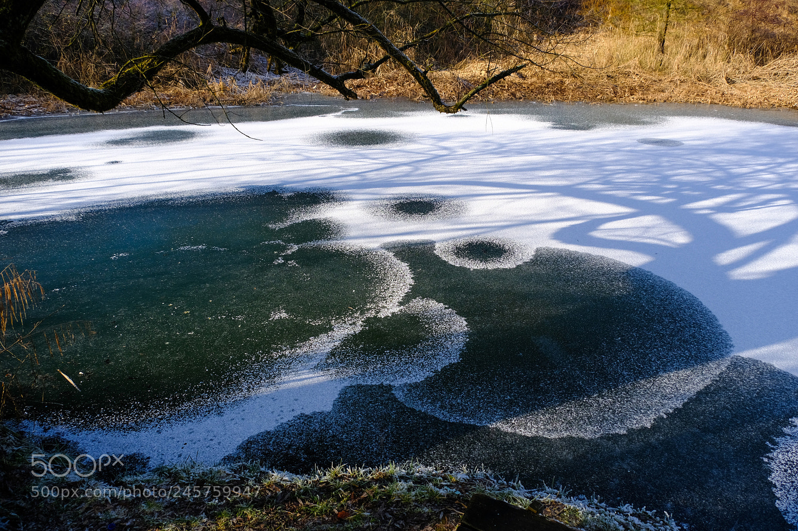 Fujifilm X-T20 sample photo. Eyes on ice photography