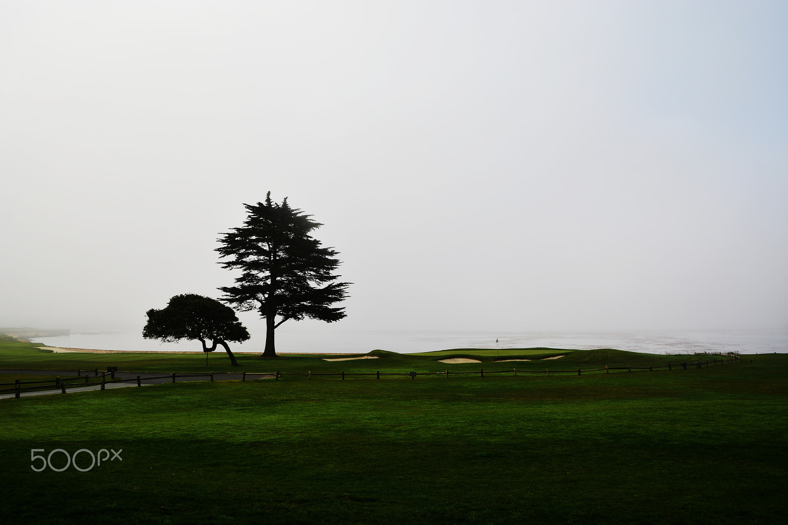 Sigma 17-50mm F2.8 EX DC OS HSM sample photo. Mile drive golf link photography