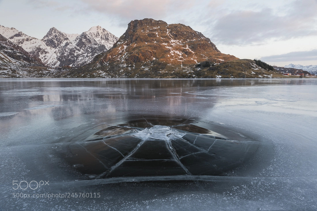 Nikon D850 sample photo. Web of ice photography