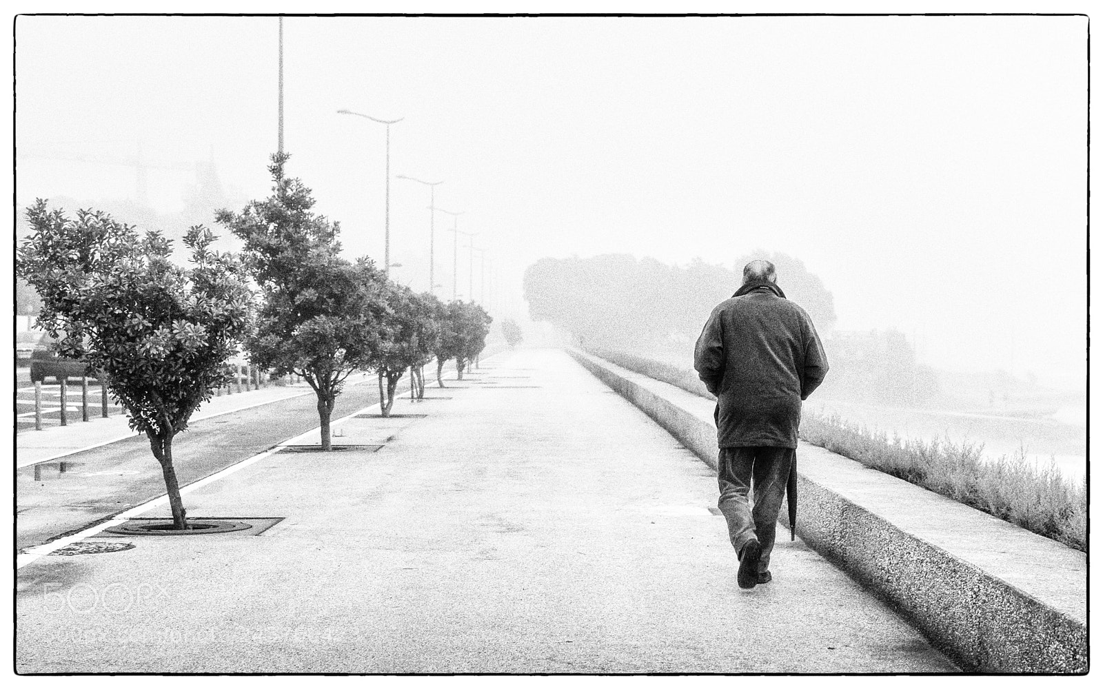 Nikon D7100 sample photo. Mist photography