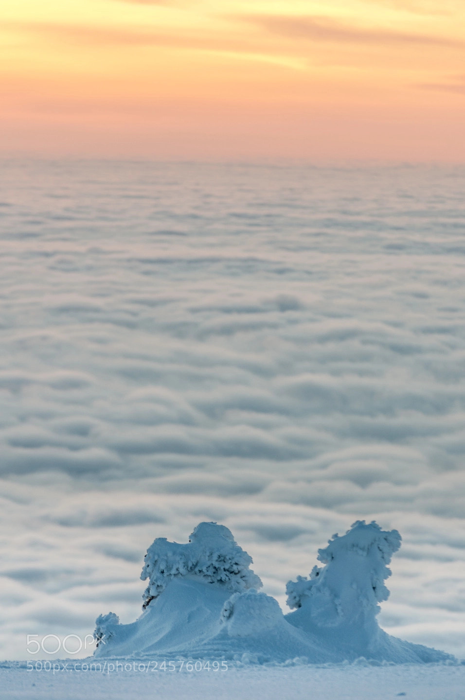 Nikon D90 sample photo. Above the clouds photography