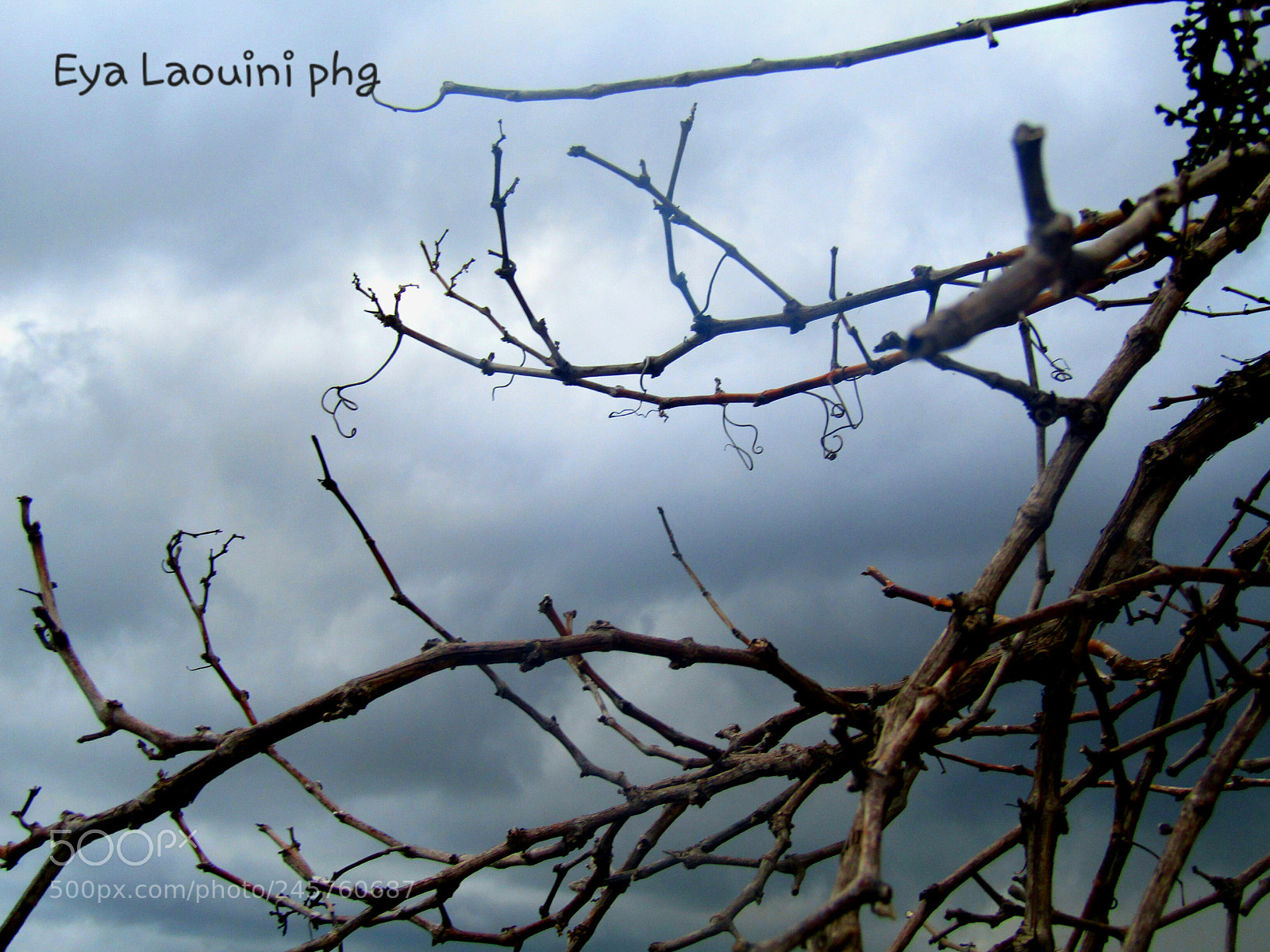 Canon PowerShot SX410 IS sample photo. Best views photography
