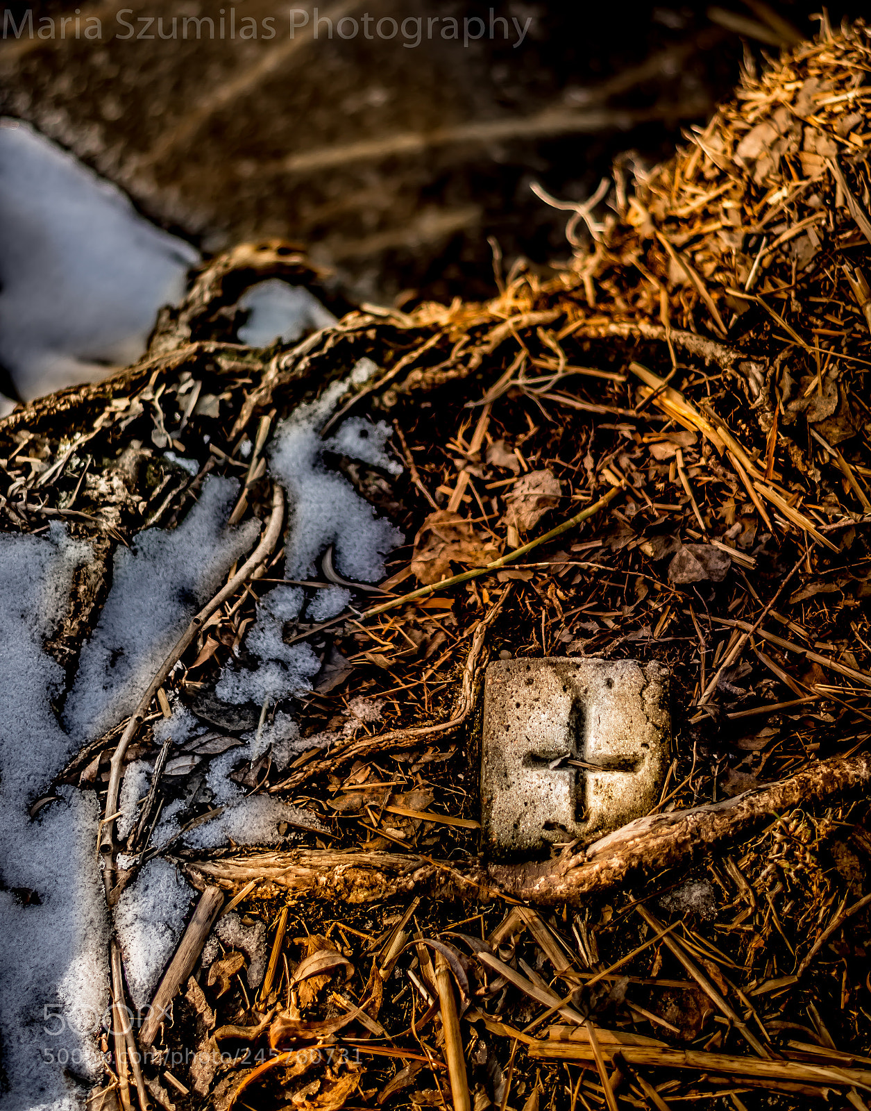 Nikon D7100 sample photo. Rest in peace photography