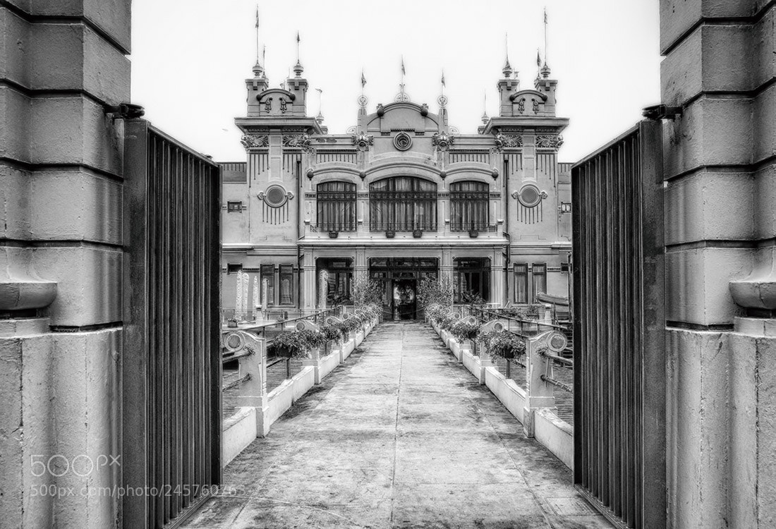 Nikon D80 sample photo. Welcome to the palace photography