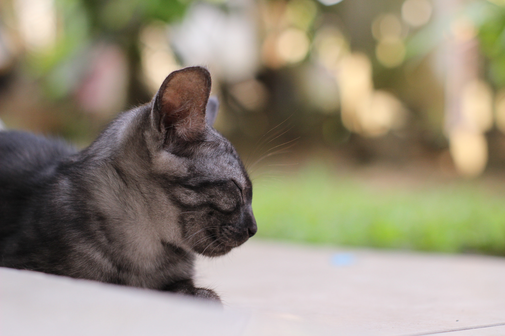 Canon 50mm sample photo