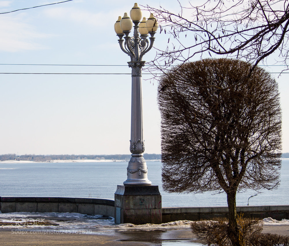 Nikon D3200 sample photo. Untitled photography