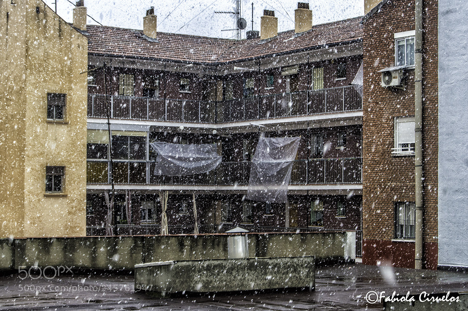 Nikon D3200 sample photo. Nieva photography