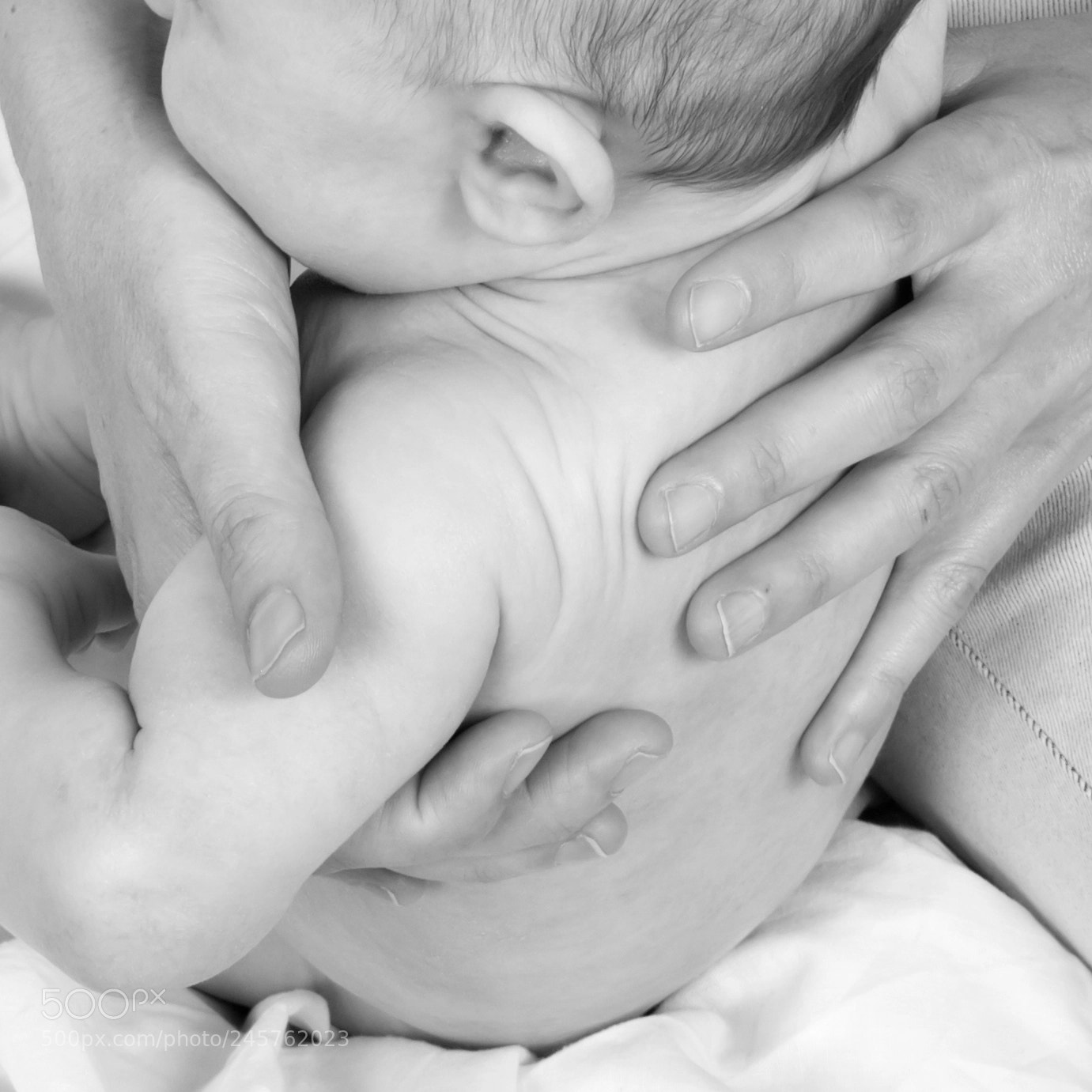 Nikon D800 sample photo. Motherhood i photography