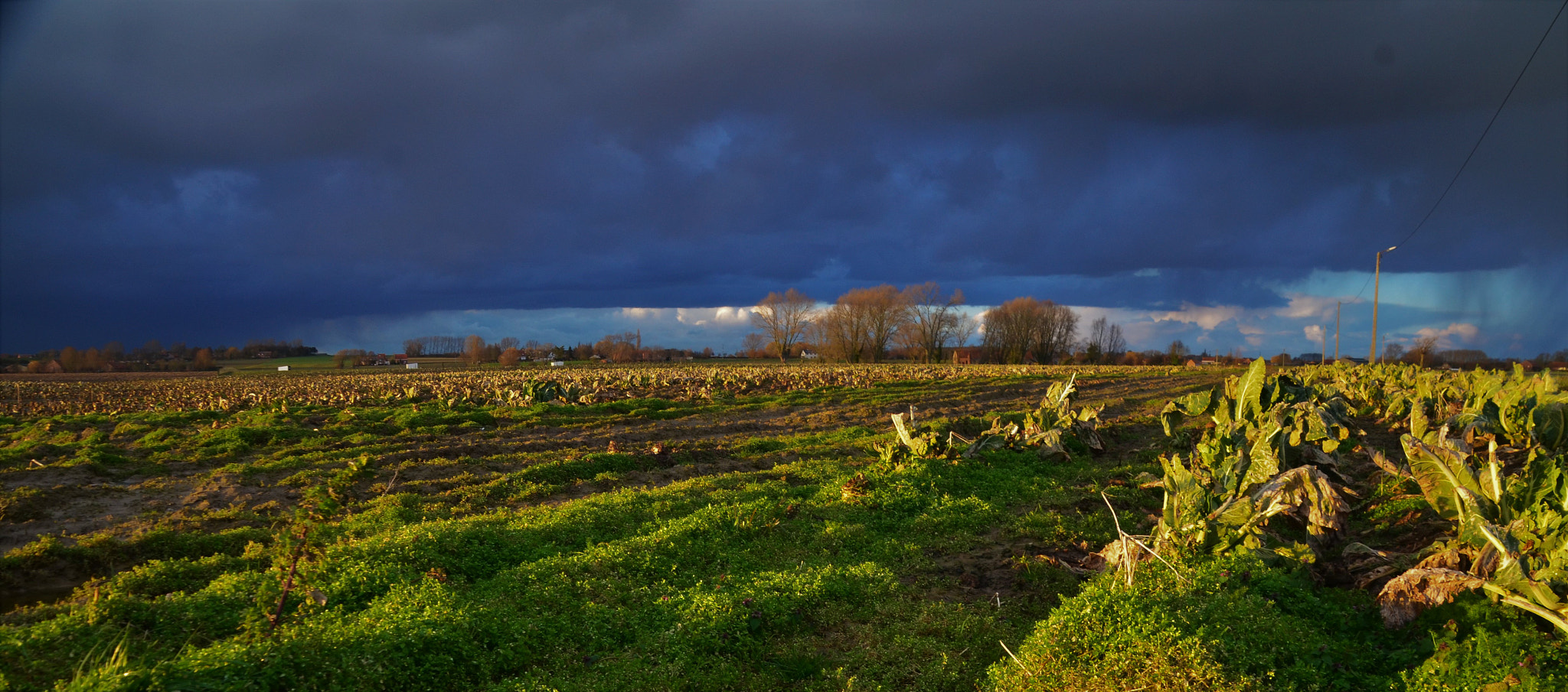 Nikon D7000 + Tamron 18-270mm F3.5-6.3 Di II VC PZD sample photo. Stormy weather is coming photography