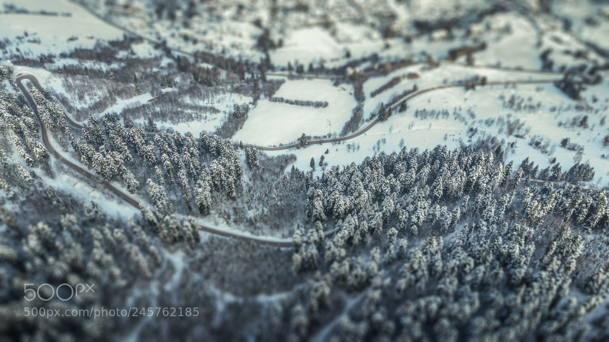 DJI FC220 sample photo. The way in the photography