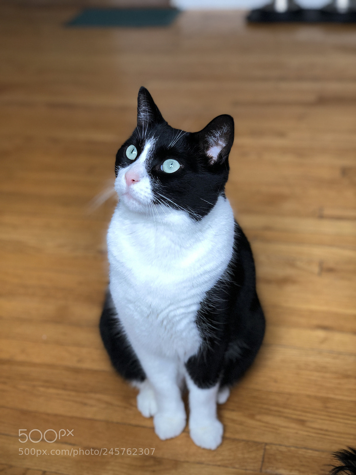 Apple iPhone X sample photo. Thinking photography