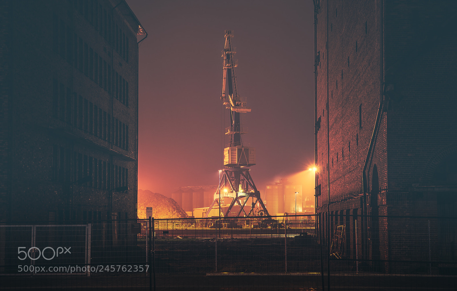 Sony a7 sample photo. Crane frame photography