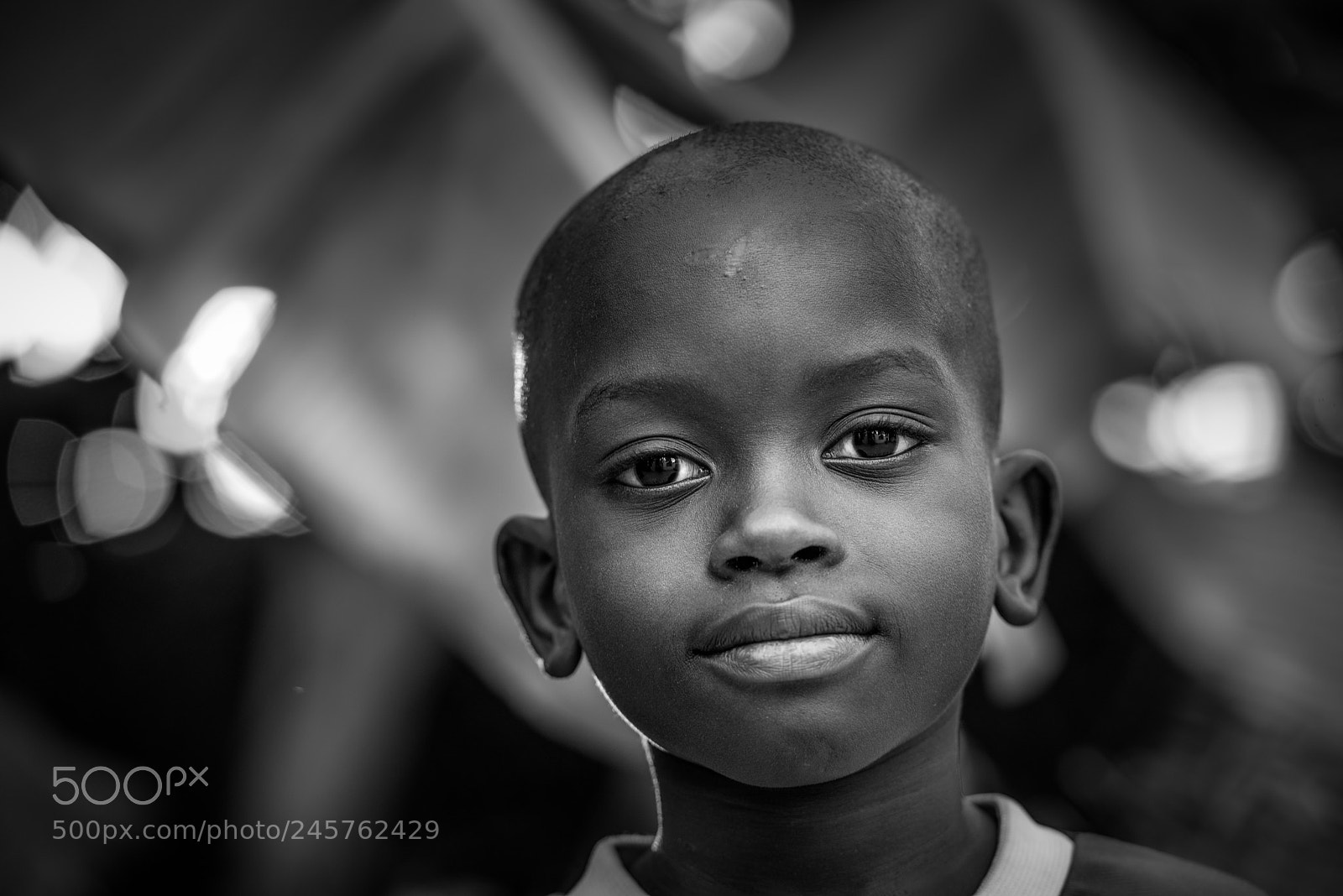 Nikon D800 sample photo. Straight portrait of boy photography