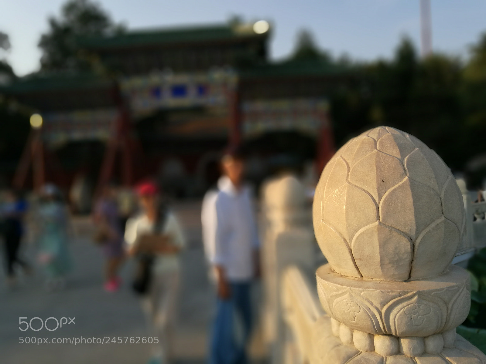 HUAWEI P9 Plus sample photo. Entrance photography