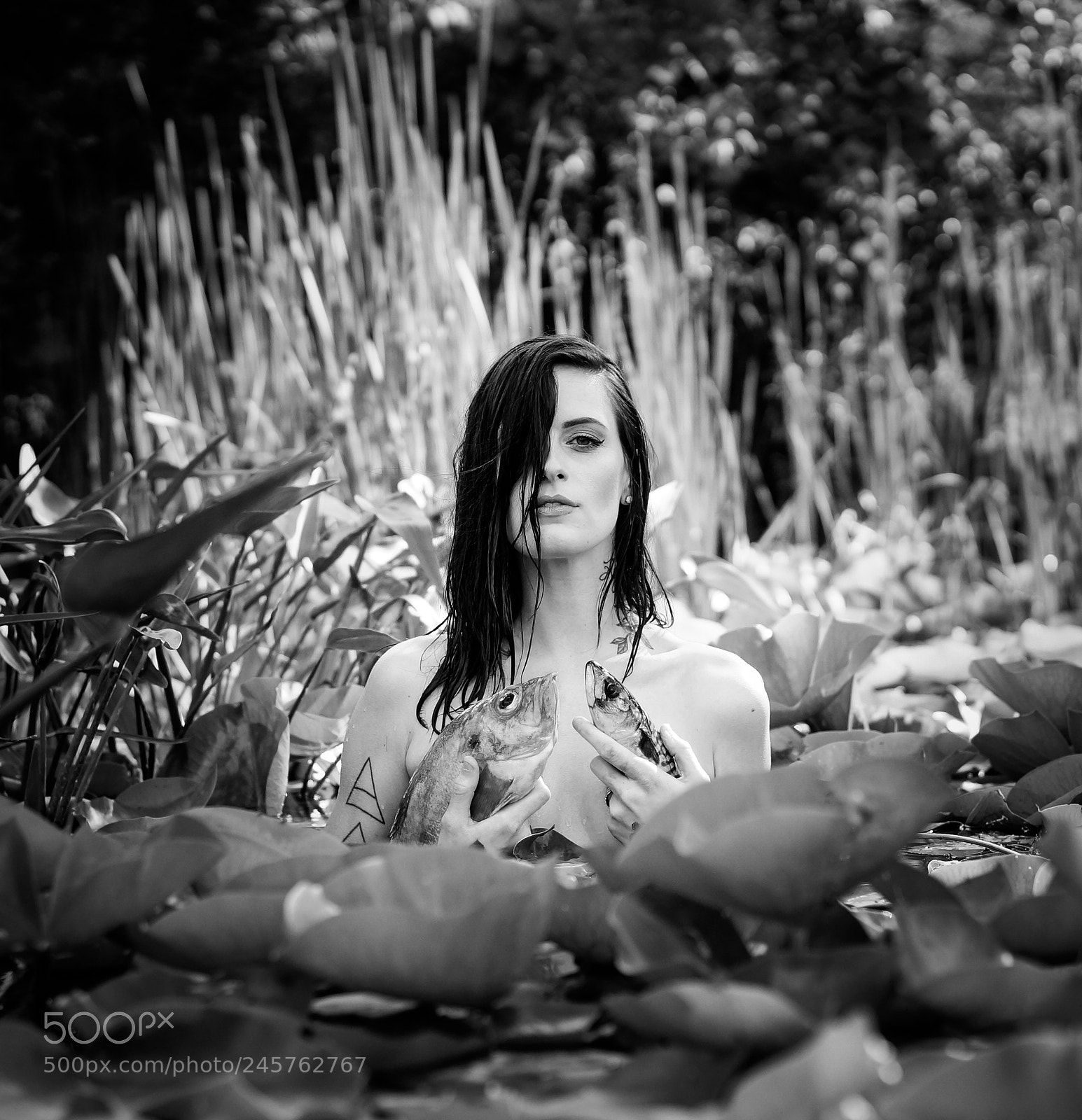 Sony Alpha NEX-5R sample photo. With fishes photography