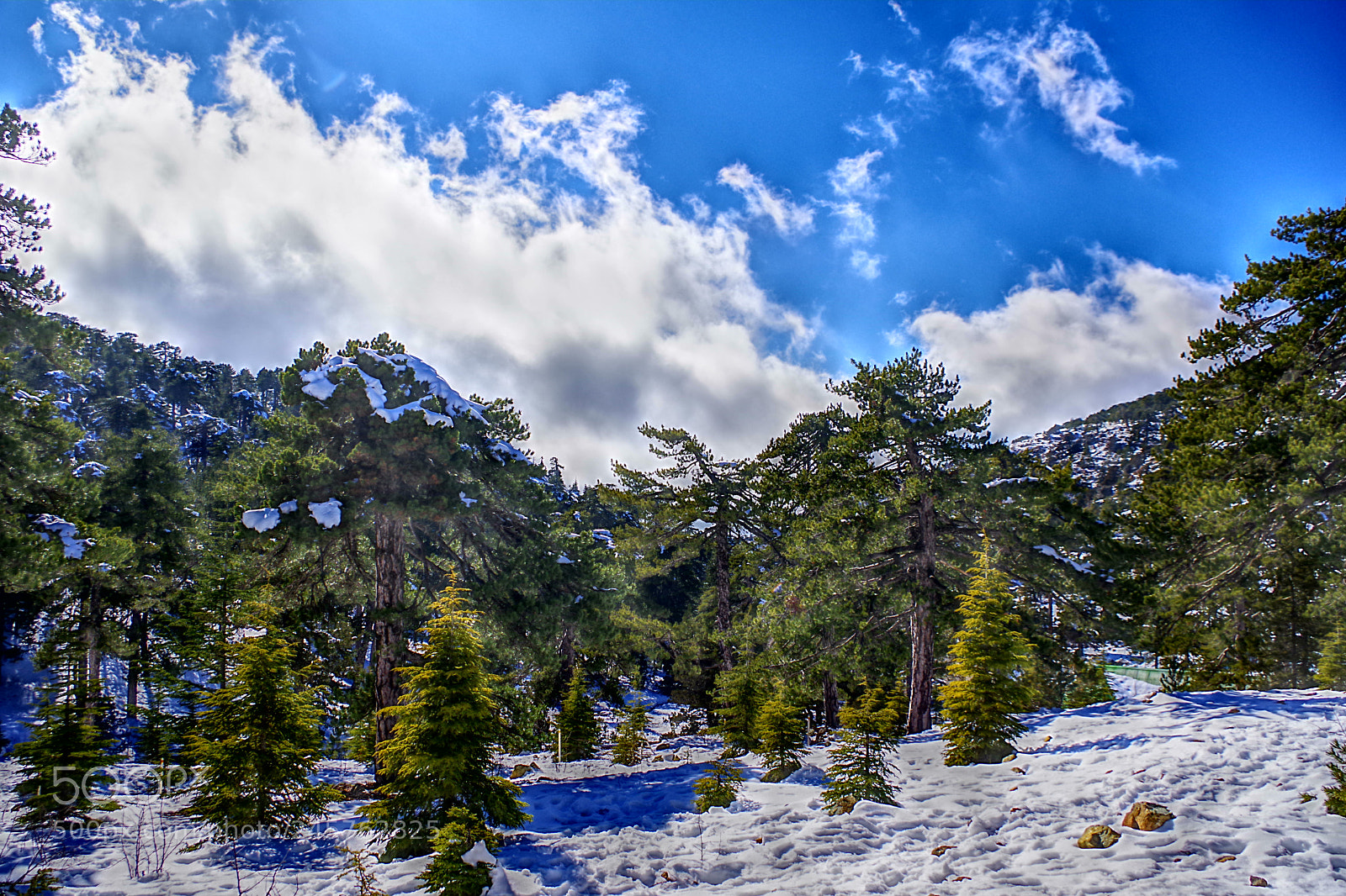 Pentax K-70 sample photo. Winter days photography