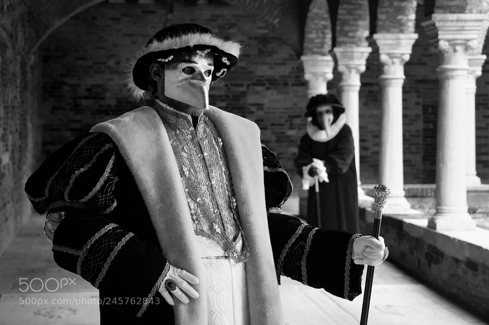Canon EOS 7D Mark II sample photo. Carnevale venezia photography
