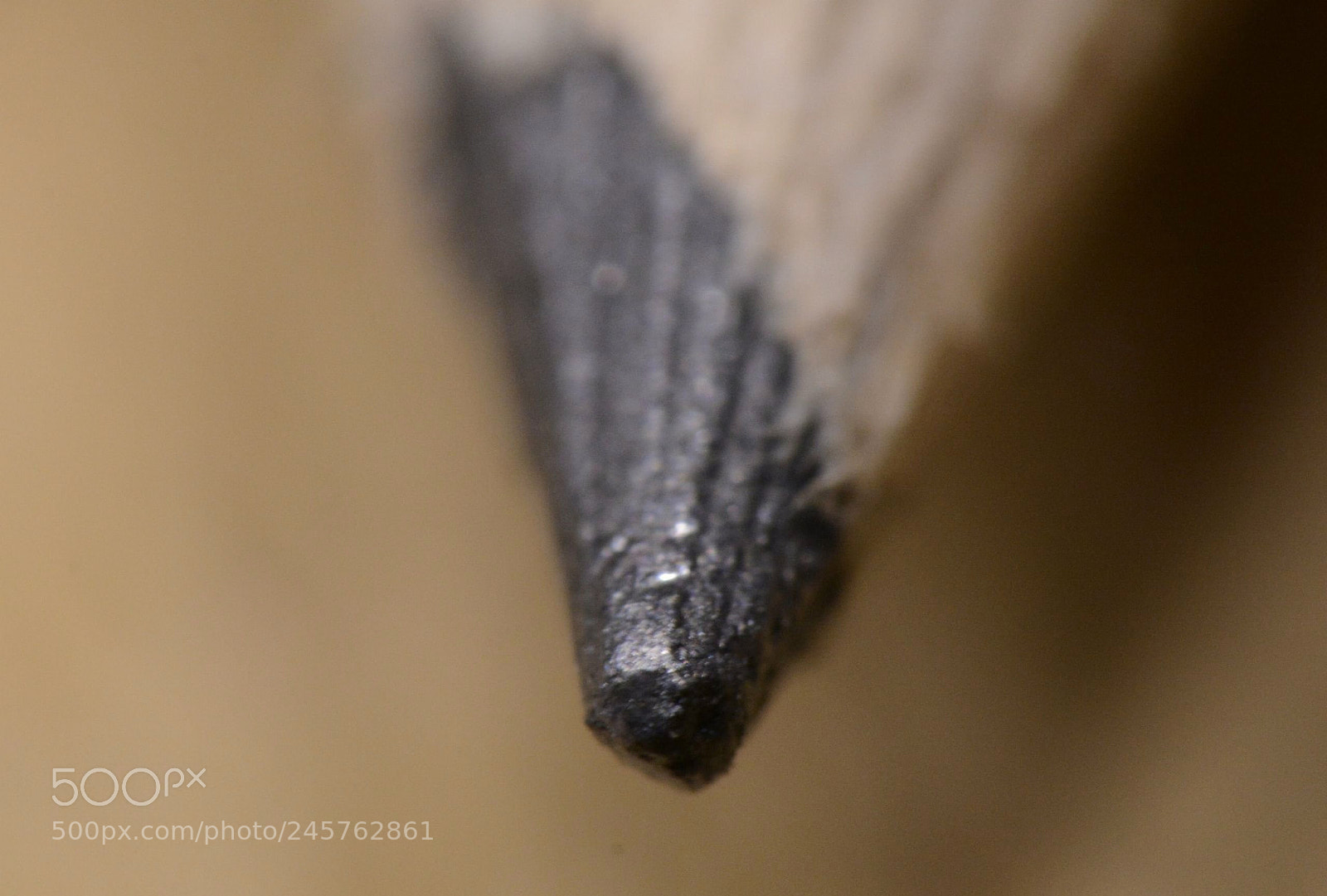 Nikon D7100 sample photo. Pencil photography