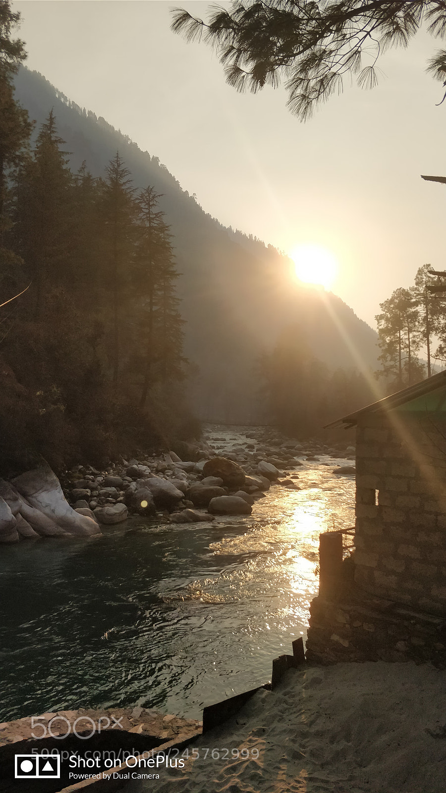 OnePlus 5 sample photo. Untitled photography