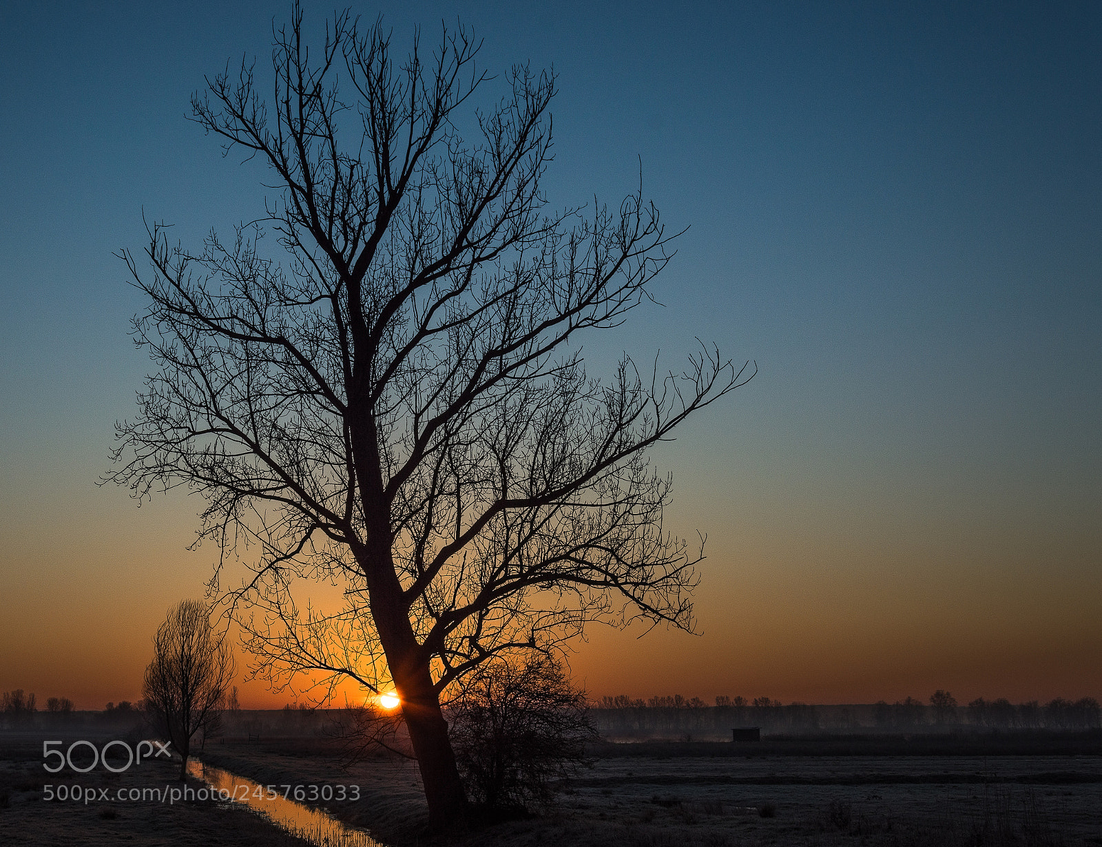 Nikon D3200 sample photo. Oasi del bottaccio photography
