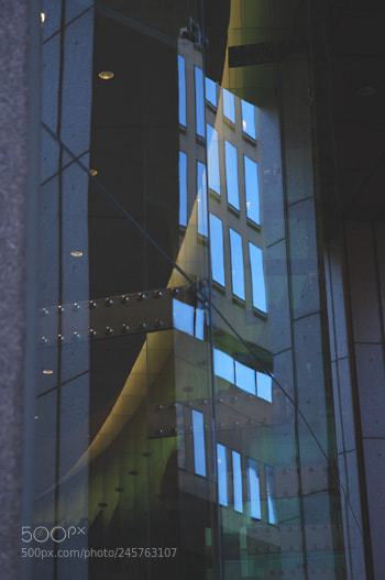 Nikon D60 sample photo. Td photography