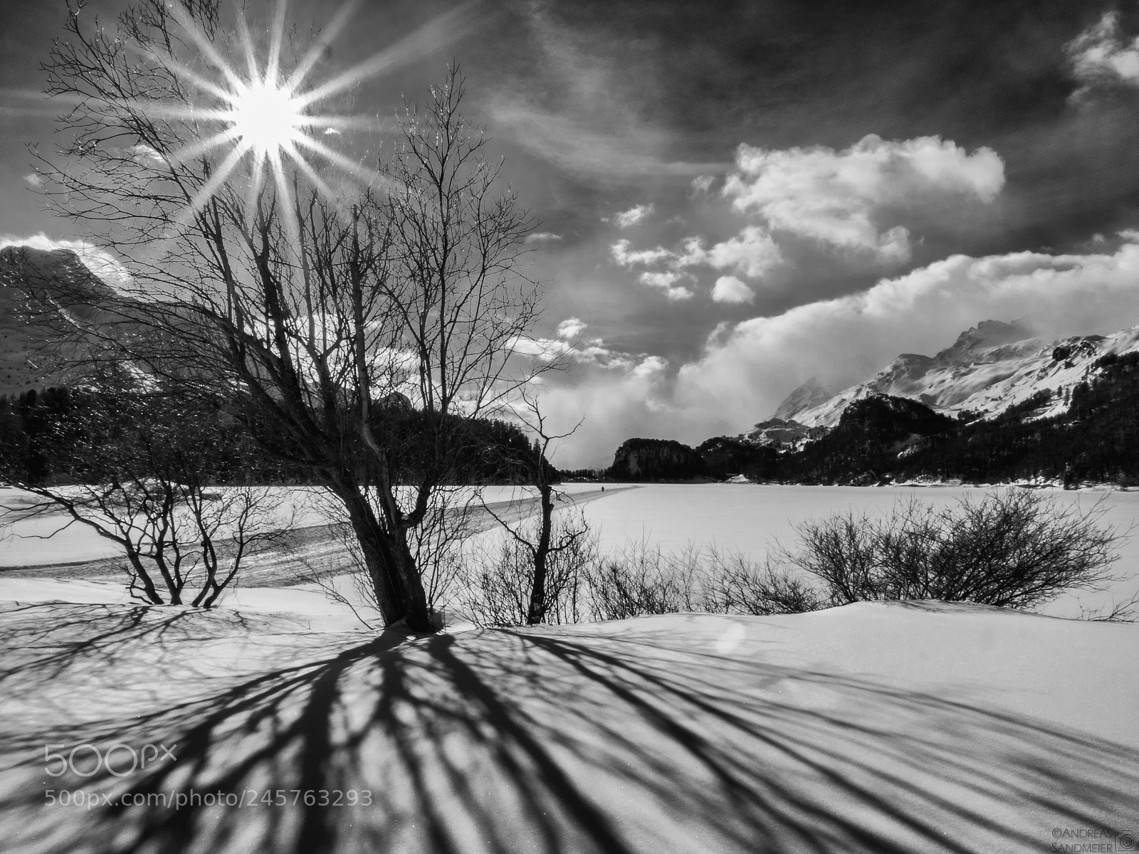 Olympus OM-D E-M1 Mark II sample photo. Lake sils, engadin, switzerland photography