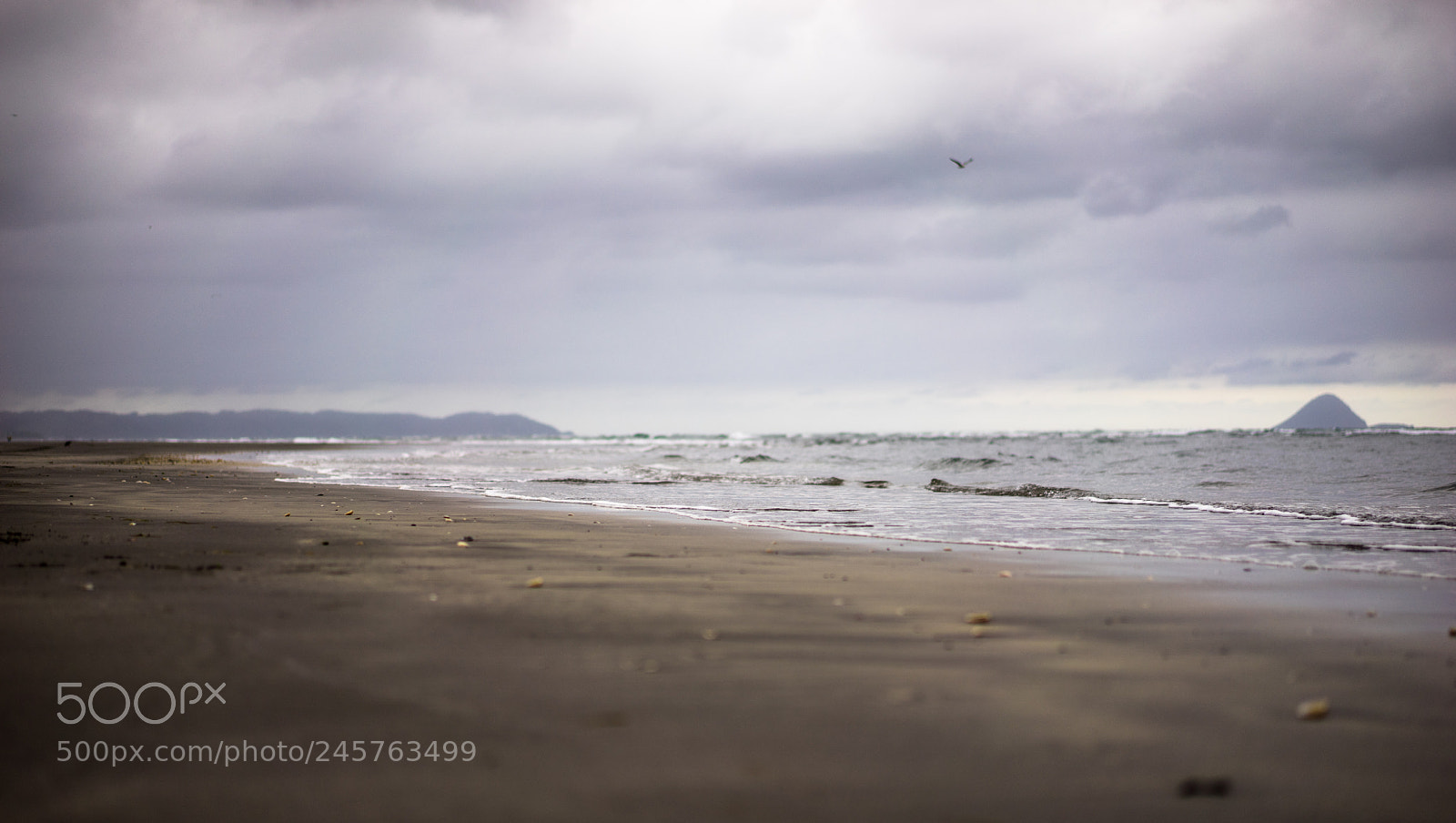 Sony a7 II sample photo. Beach photography