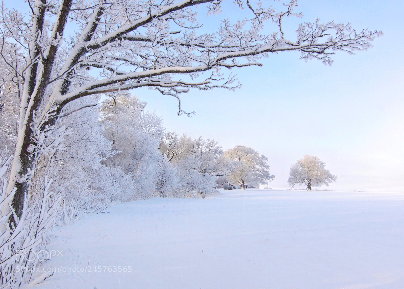 Canon EOS 50D sample photo. Winter landscape photography