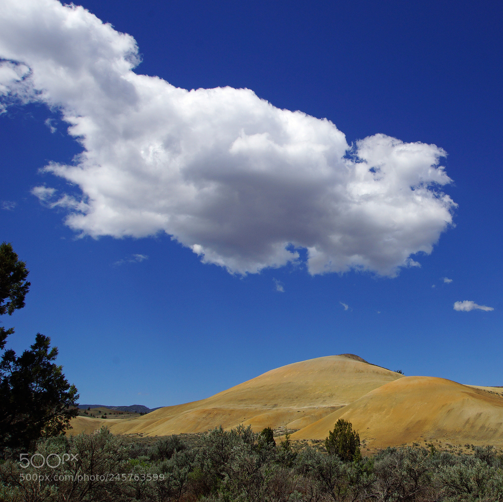 Sony SLT-A65 (SLT-A65V) sample photo. Painted hills photography