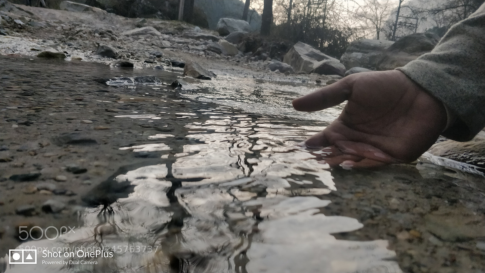 OnePlus 5 sample photo. Untitled photography