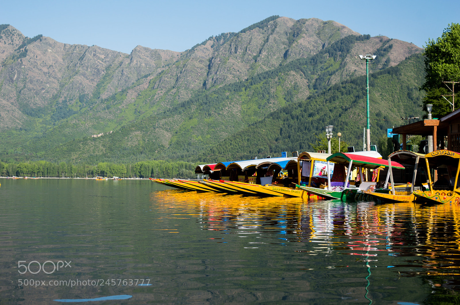 Nikon D3200 sample photo. Shikaras of dal lake photography