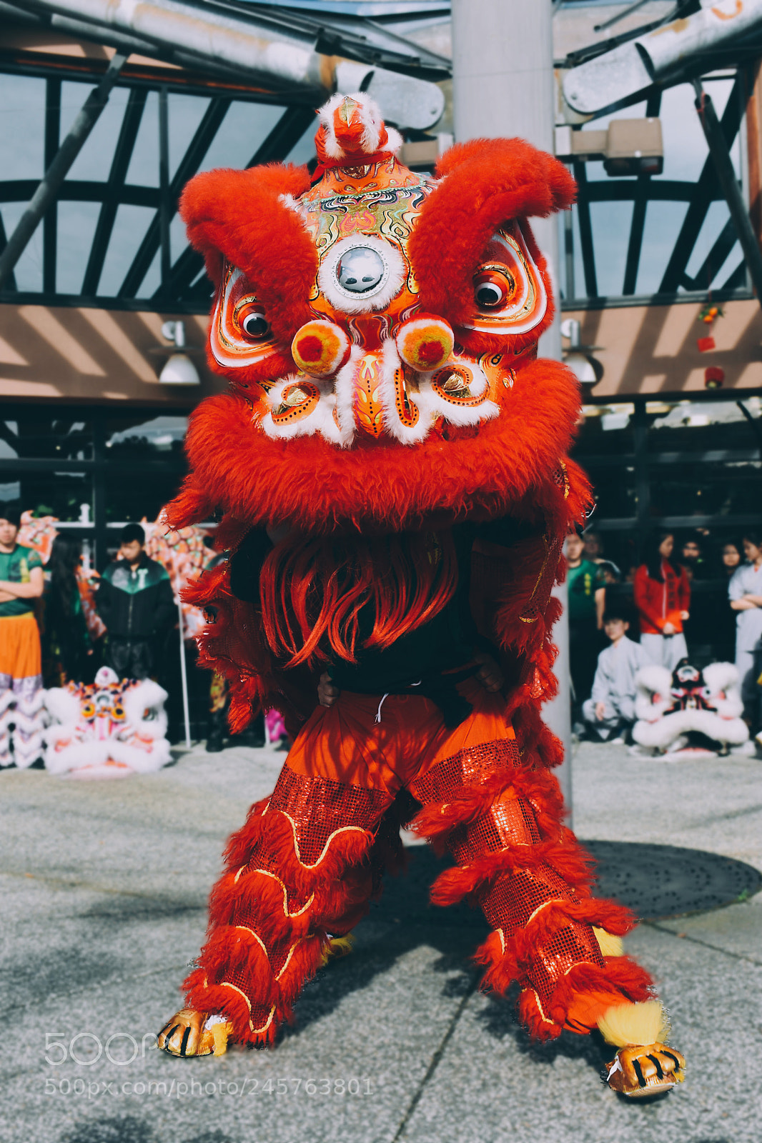 Nikon D7200 sample photo. Lunar new year lion photography