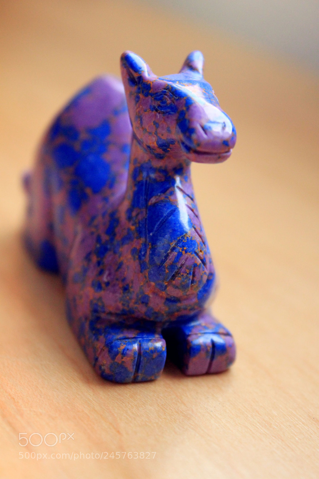 Canon EOS 500D (EOS Rebel T1i / EOS Kiss X3) sample photo. Camel photography